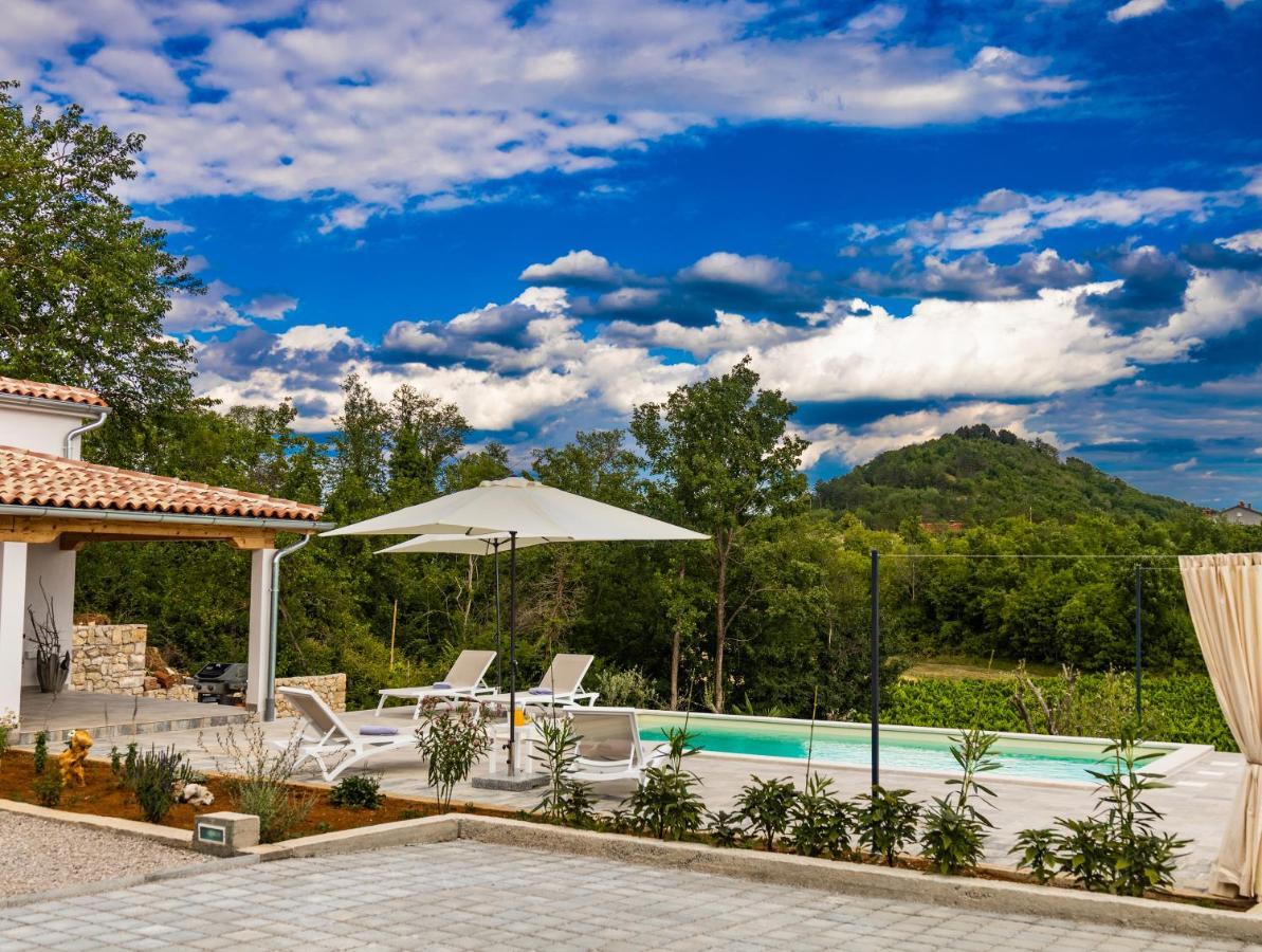 Villa Klara Buzet Bagian luar foto
